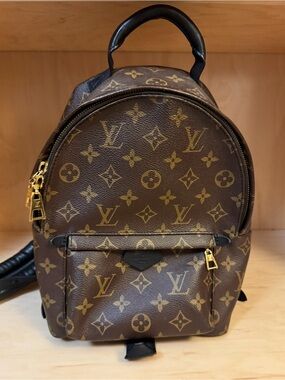 Louis Vuitton Palm Springs PM Backpack - Brown Monogram with Gold Accents